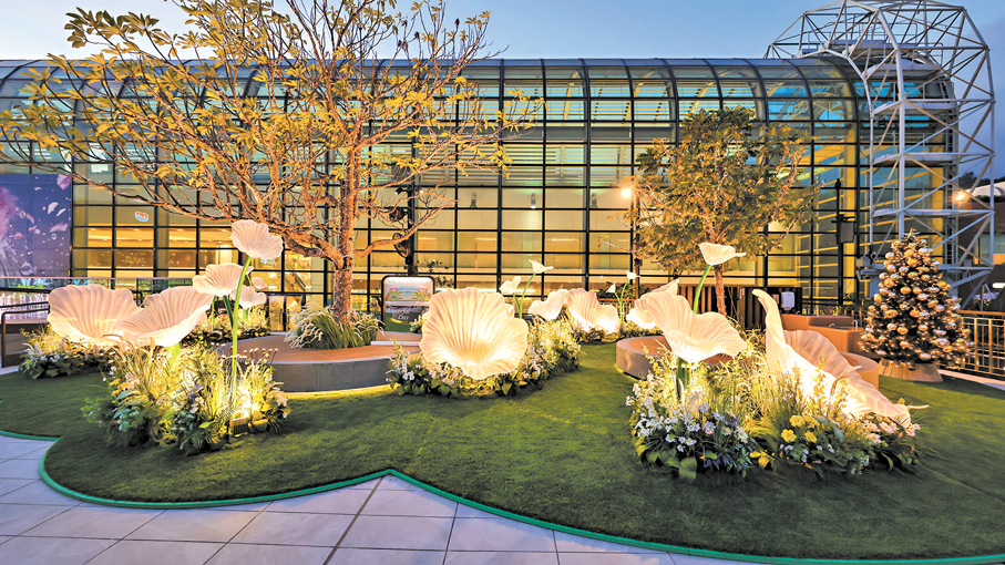 ●「浮花·幻境」限定打卡位