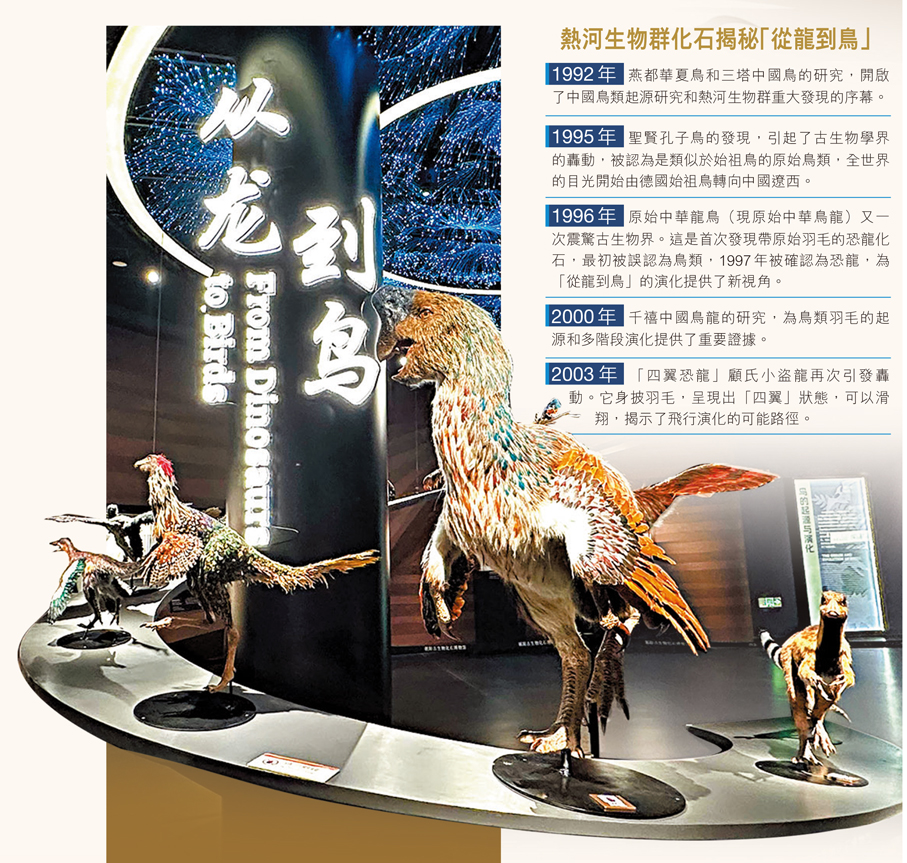 ●世界上唯一的原位遺址性化石主題公園遼寧朝陽鳥化石國家地質公園中，眾多化石見證了熱河生物群「從龍到鳥」的重大科研發現。 香港文匯報記者于珈琳  攝