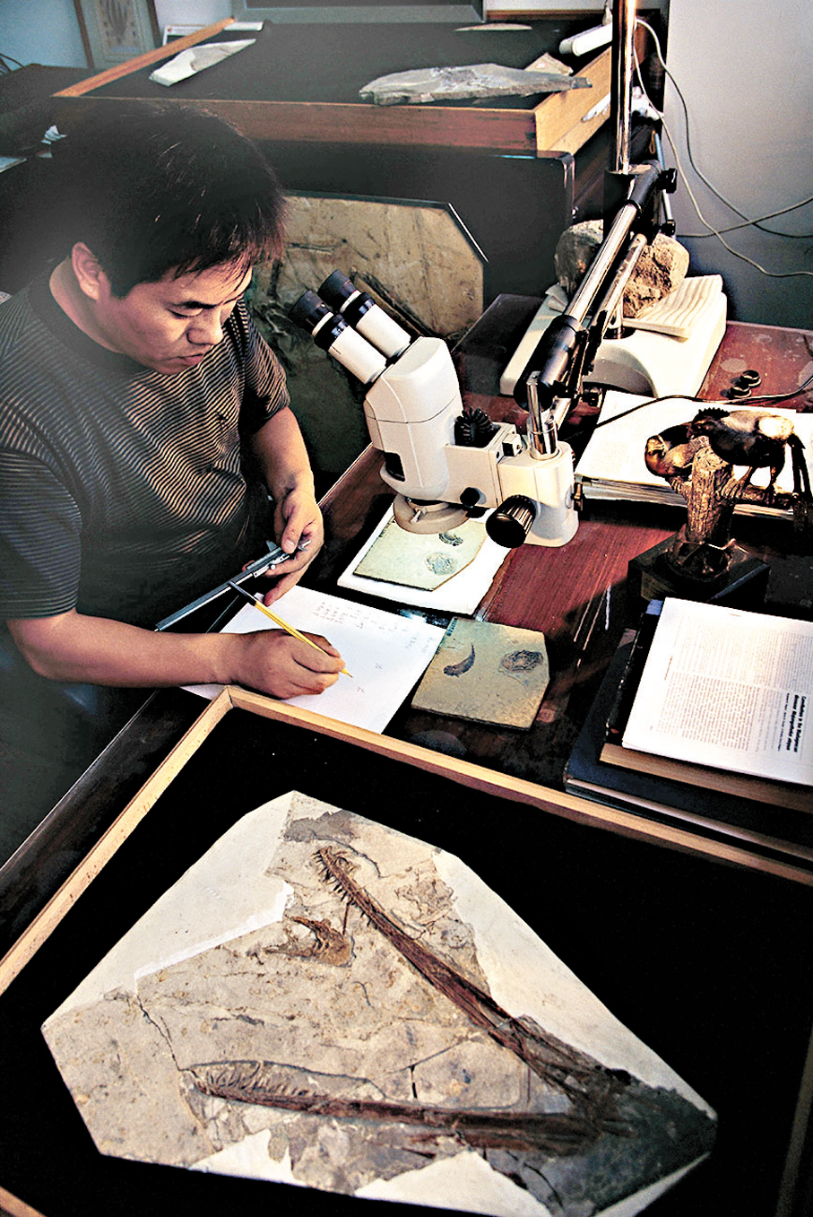 ●2004年，汪筱林研究遼西發現的世界上第一枚翼龍蛋與胚胎和楊氏飛龍，這兩個化石先後發表在《Nature》上。