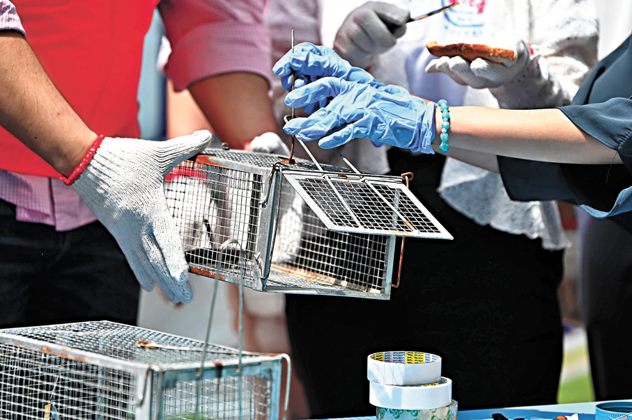 ●鼠患嚴重與環境關係密切。圖為食環署在衞生黑點設置鼠籠。 資料圖片