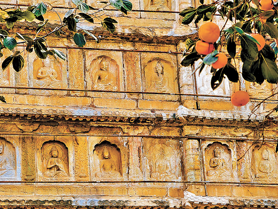 ●五塔寺裏的紅柿子引人注目。