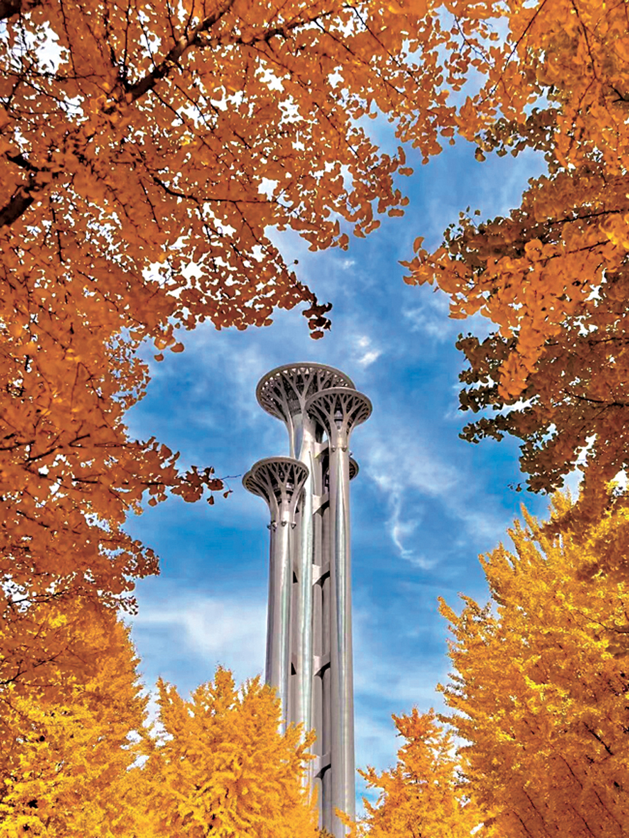 ●在奧森公園尋找「獨樂樂」。