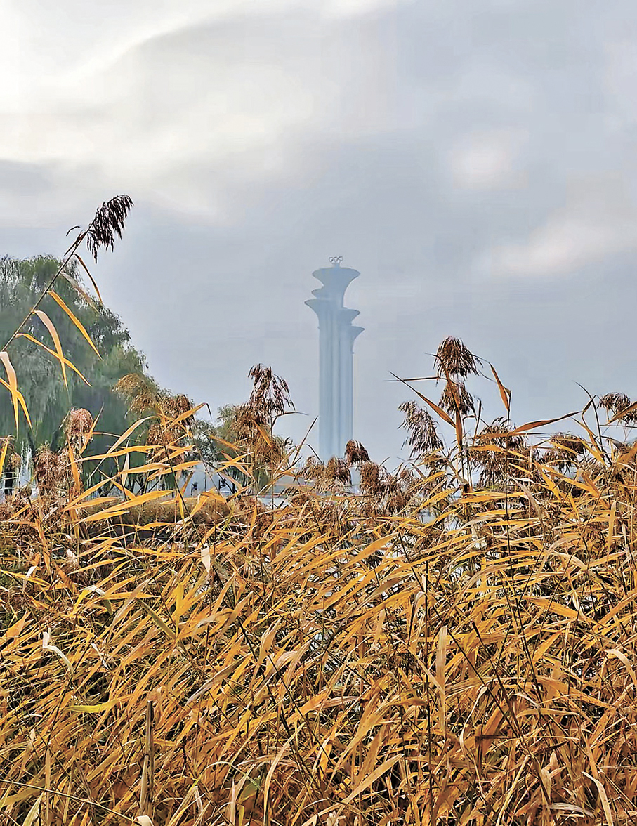 ●在奧森公園裏感受深秋的限定浪漫。