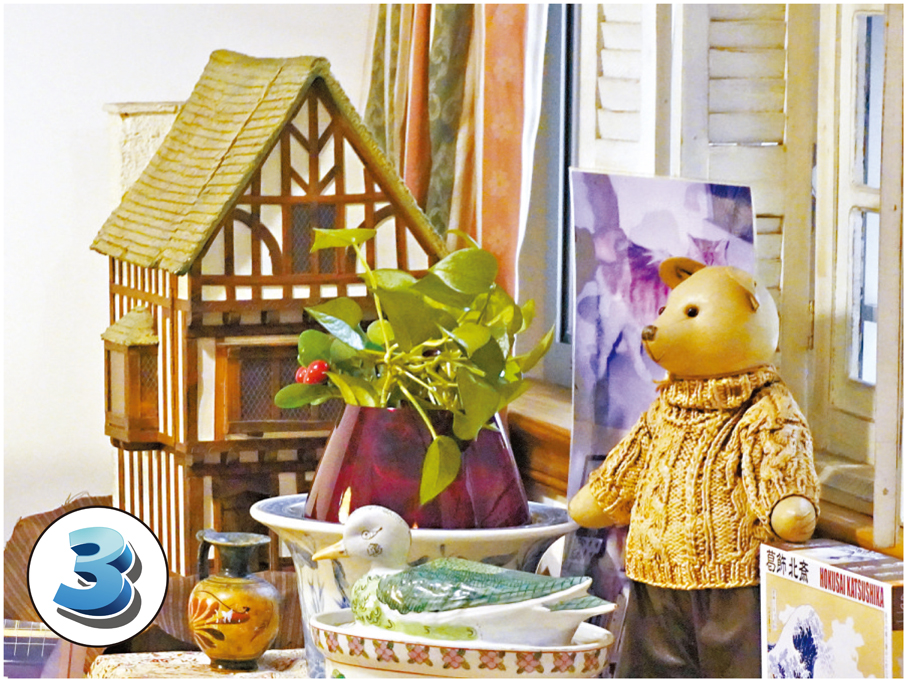 ●客廳中一株生意盎然的黃金葛，承載着特殊的記憶。