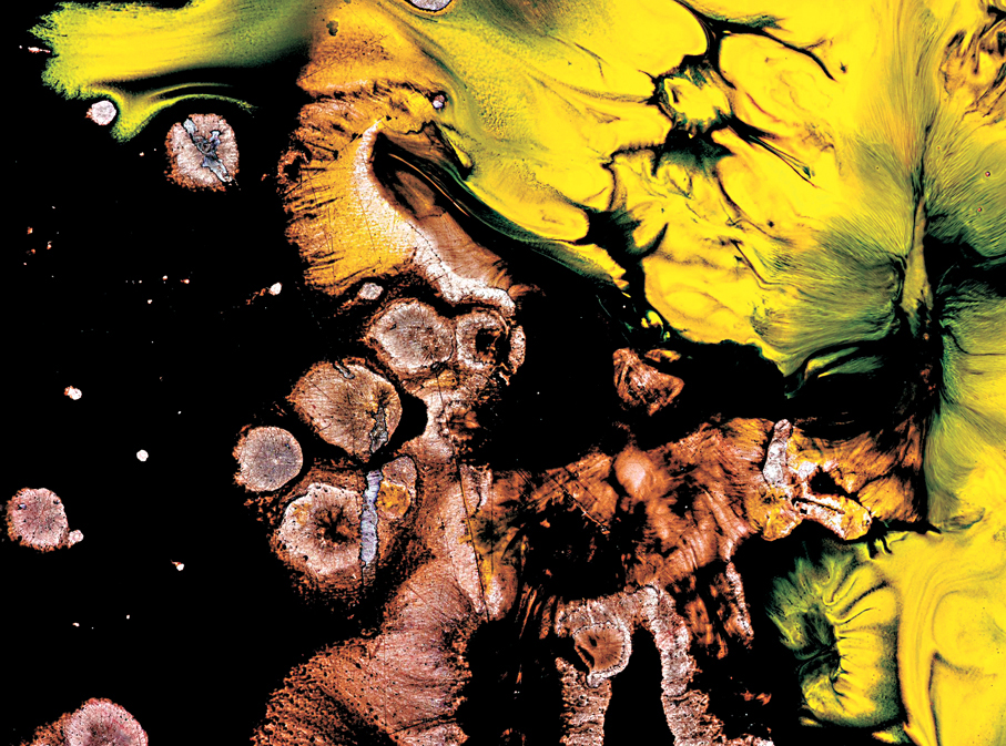 ●任達華創作心中的猛虎。   受訪者供圖