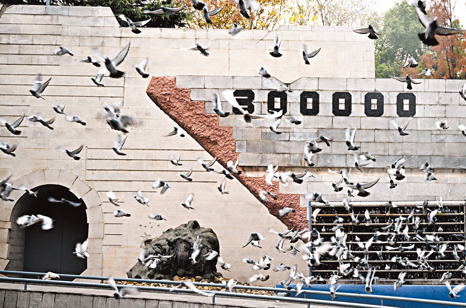 ●南京大屠殺死難者國家公祭儀式現場放飛和平鴿。 新華社