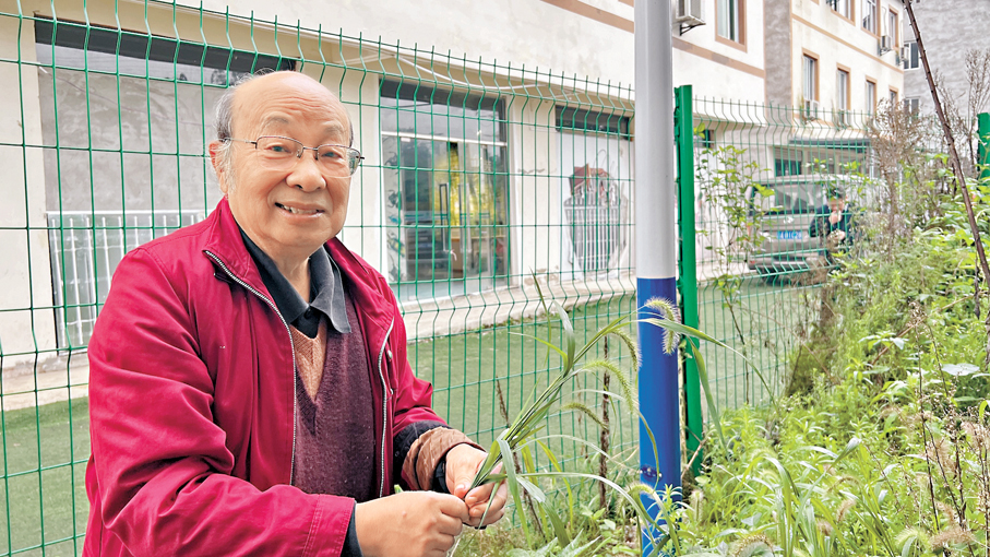 ●「標本爺爺」唐安科