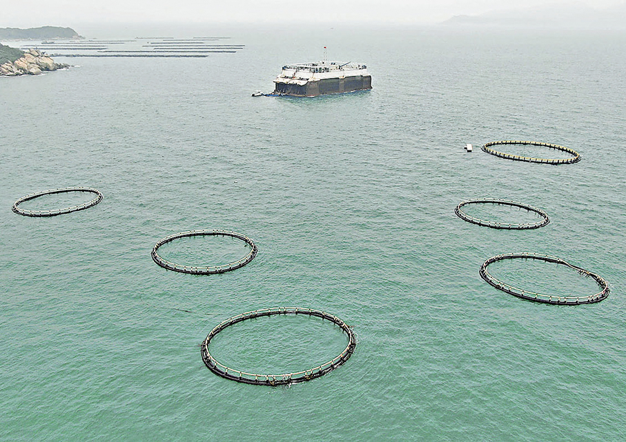 ●圍繞海洋經濟，廣東在部署「十五五」期間工作時提出了一系列具體舉措。圖為在廣東珠海萬山海域拍攝的養殖網箱及中國首台半潛式波浪能養殖旅遊平台「澎湖號」。 資料圖片