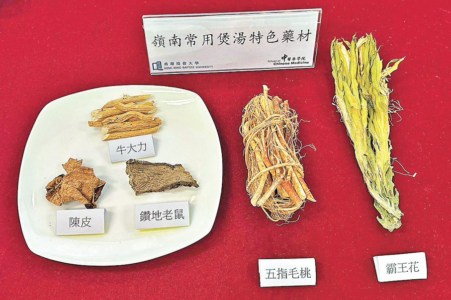 ●浸大展示嶺南常用煲湯特色藥材。 校方供圖