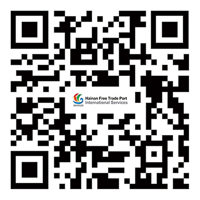 海南自由貿易港國際服務門戶