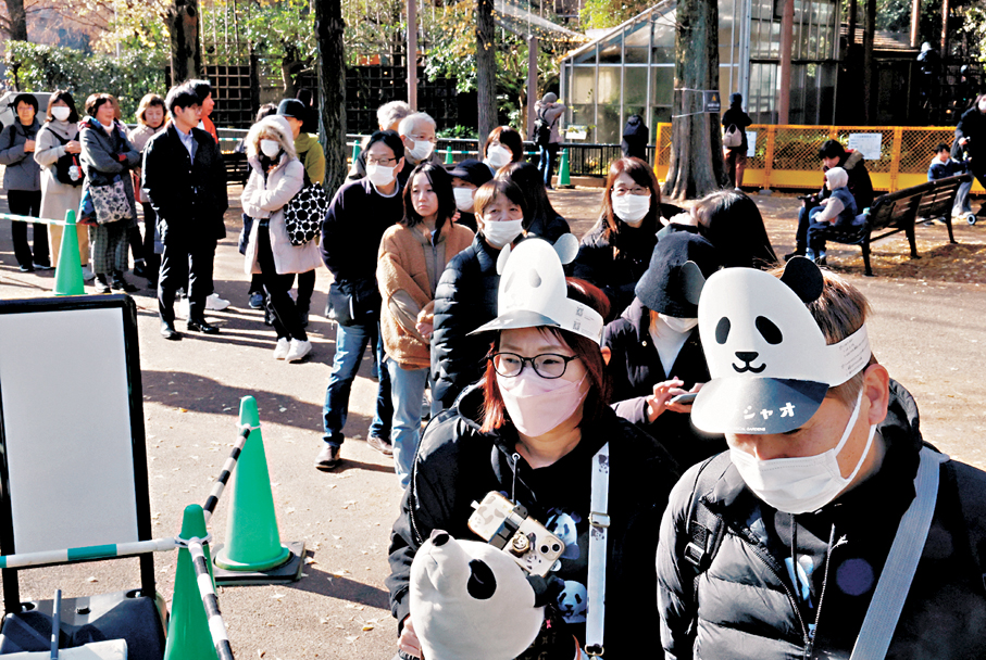 ●2026年1月底兩隻大熊貓將送回中國的消息傳出後，日本民眾和遊客在上野動物園排隊觀看大熊貓。 路透社