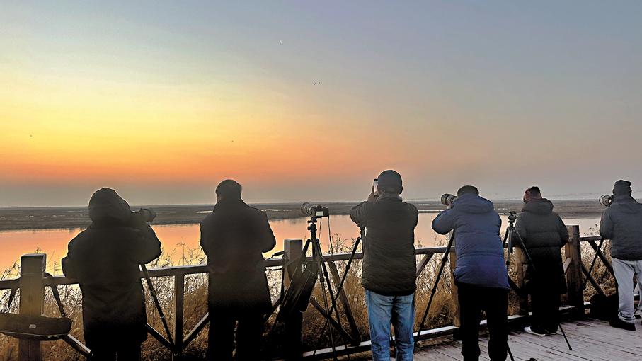 ●清晨等待「鳥浪」的攝影師們。香港文匯報記者丁春麗 攝