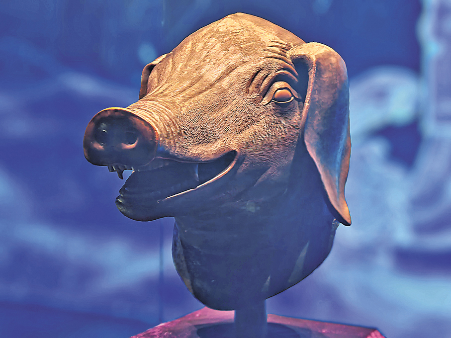 ●此次特展展出豬首文物原件。 記者吳千  攝