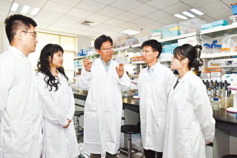 ●來自山東農業大學生命科學學院的李傳友（中）團隊。