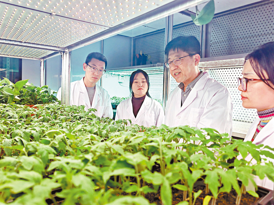 ●李傳友（右）在實驗室指導學生。 香港文匯報 記者殷江宏  攝