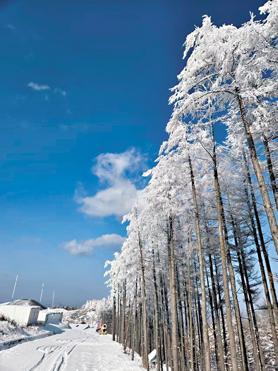 ●「雪飛燕」雪道風景