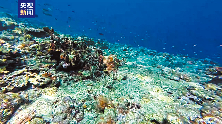 ●《報告》顯示，黃岩島珊瑚礁生態系統狀況總體良好。圖為黃岩島國家級自然保護區。 網上圖片