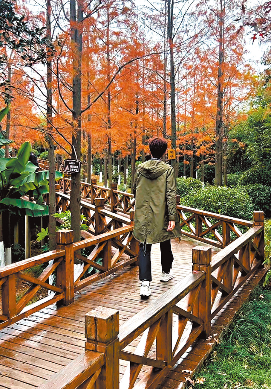 ●邕湖莊園。 作者供圖