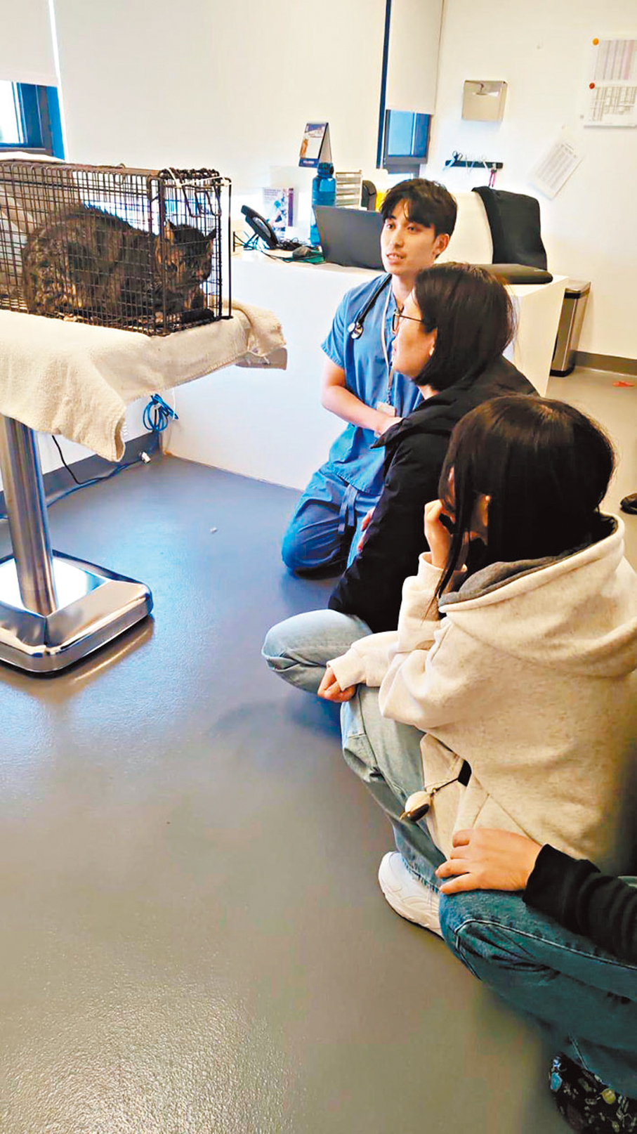 ●獲救小貓與主人團聚。 愛協圖片