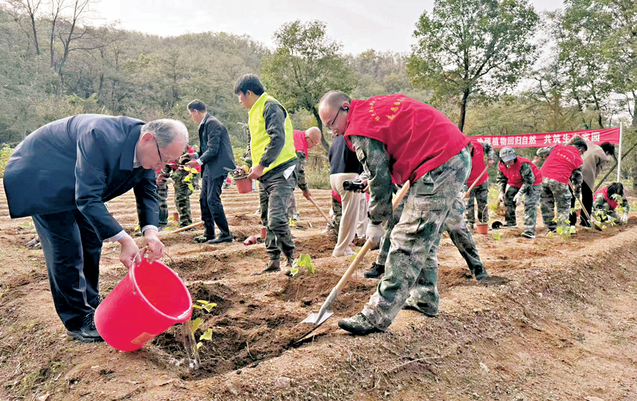●山東重要瀕危植物紫椴回歸活動種植現場。 香港文匯報山東傳真