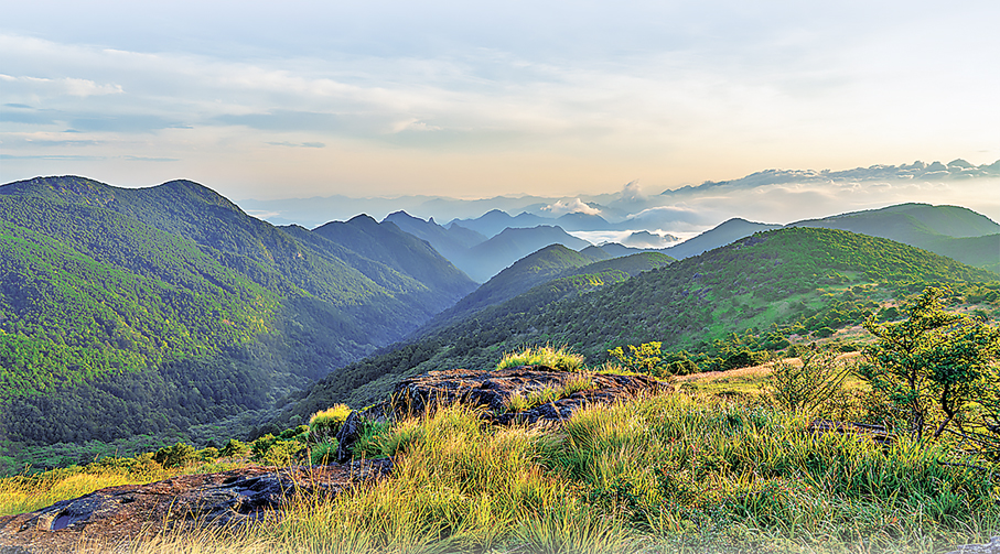 ●晨光下的武夷山主峰黃崗山。 香港文匯報江西傳真