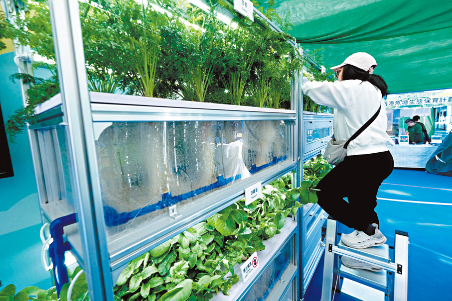 ●市民體驗垂直氣霧耕作系統、智能農場模型。香港文匯報記者涂穴  攝