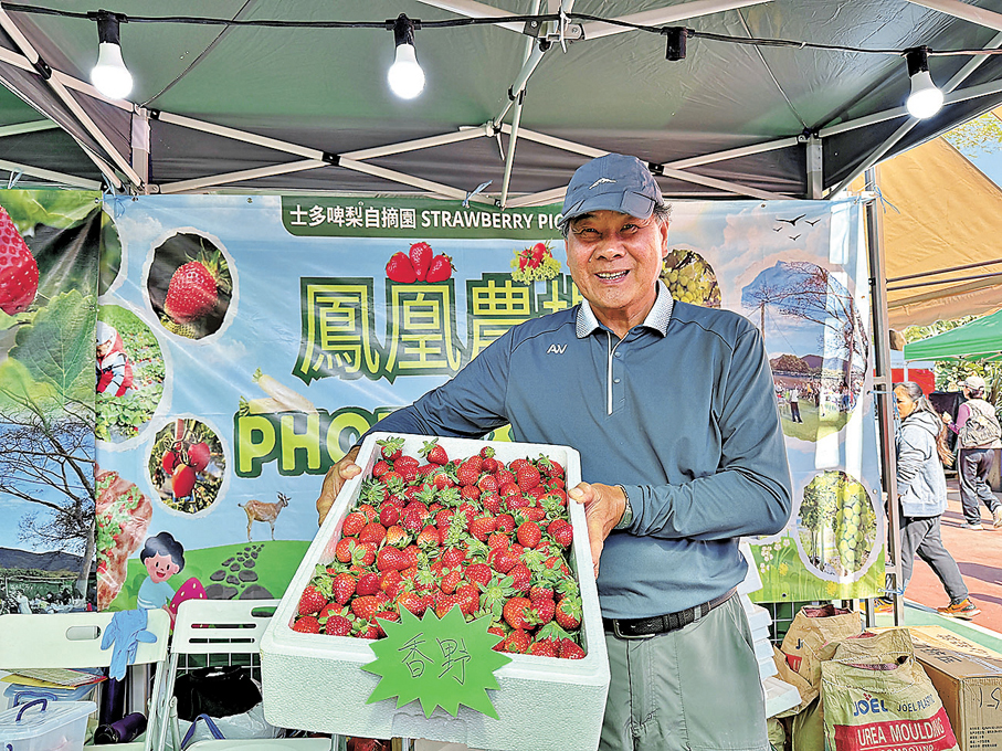 ●鳳凰農場場主易先生帶來很多士多啤梨品種。香港文匯報記者崔瀅 攝