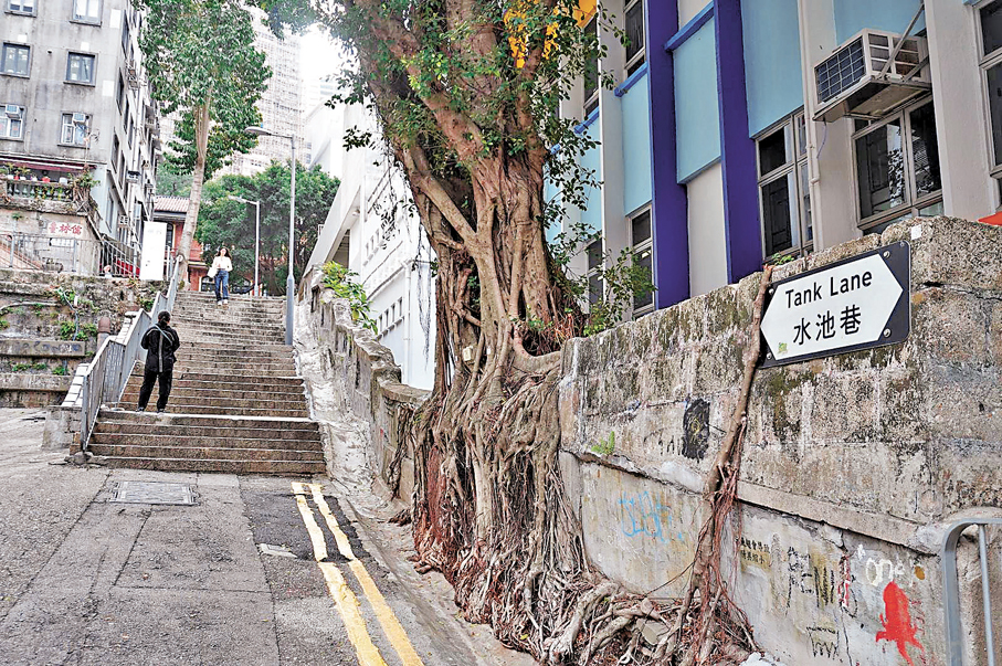 水池巷以前確實有水池。