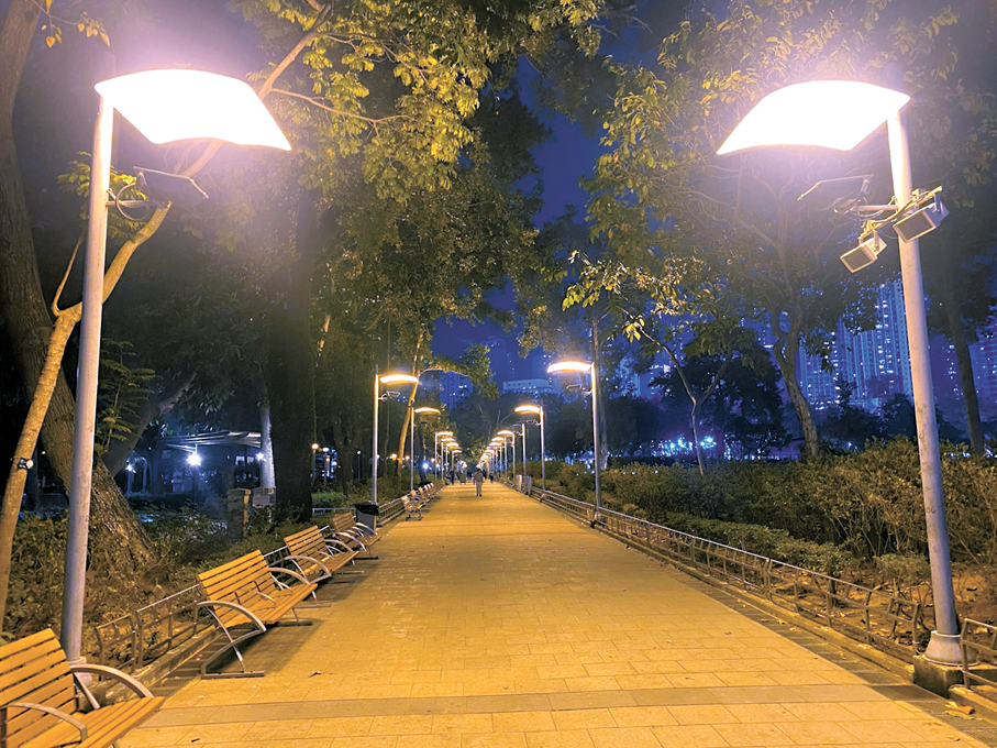 夜幕低垂，維園黃色街燈灑下溫暖光影。