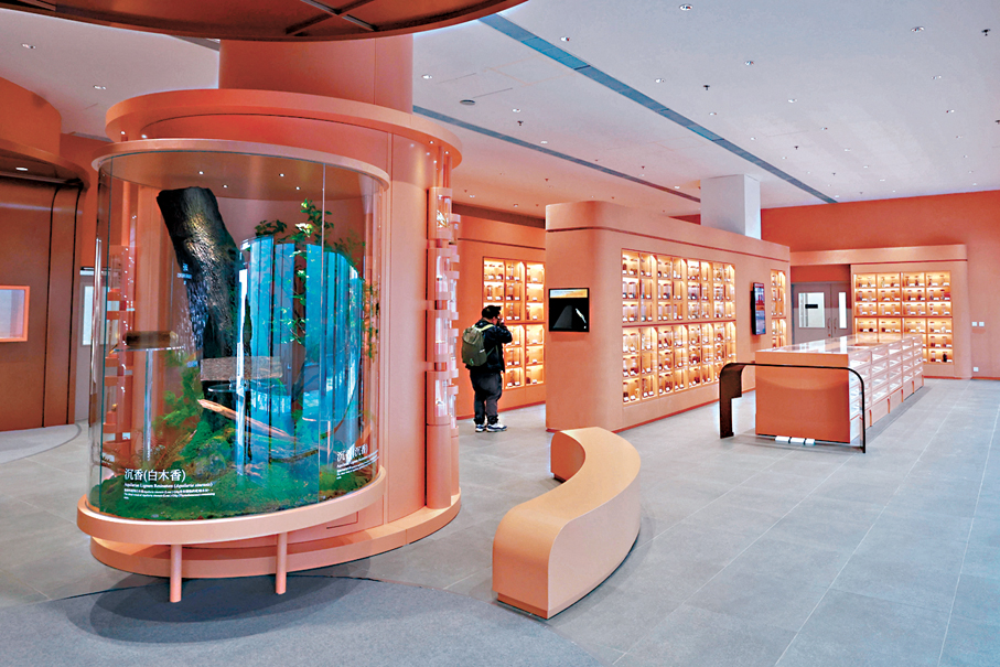 ●中藥標本館藏品眾多。 香港文匯報記者北山彥  攝