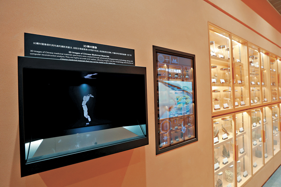 ●藥材3D圖像。 香港文匯報記者北山彥  攝