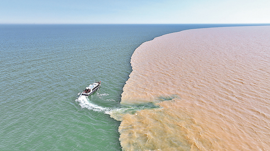 ●黃河入海口「河海交匯」世界級生態景觀 通訊員楊斌 攝