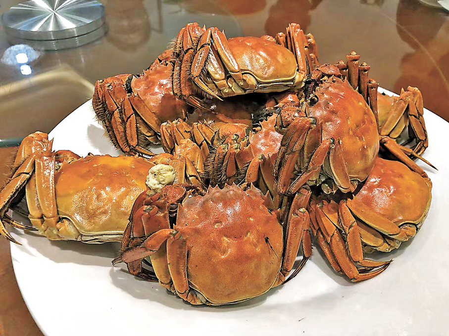 ●黃河口大閘蟹