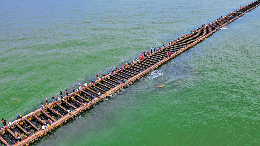 ●孤東海堤已成為東營旅遊的打卡點。 通訊員李剛 攝