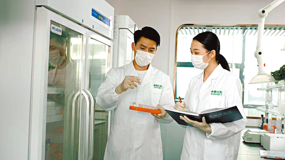 ●希格生科的科研人員正在做實驗。香港文匯報深圳傳真