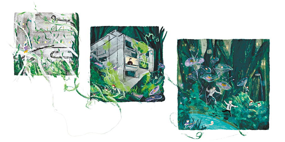 ●李鈺淇的《I Stole a Bag of Seeds》內頁充滿自然氣息。   受訪者供圖