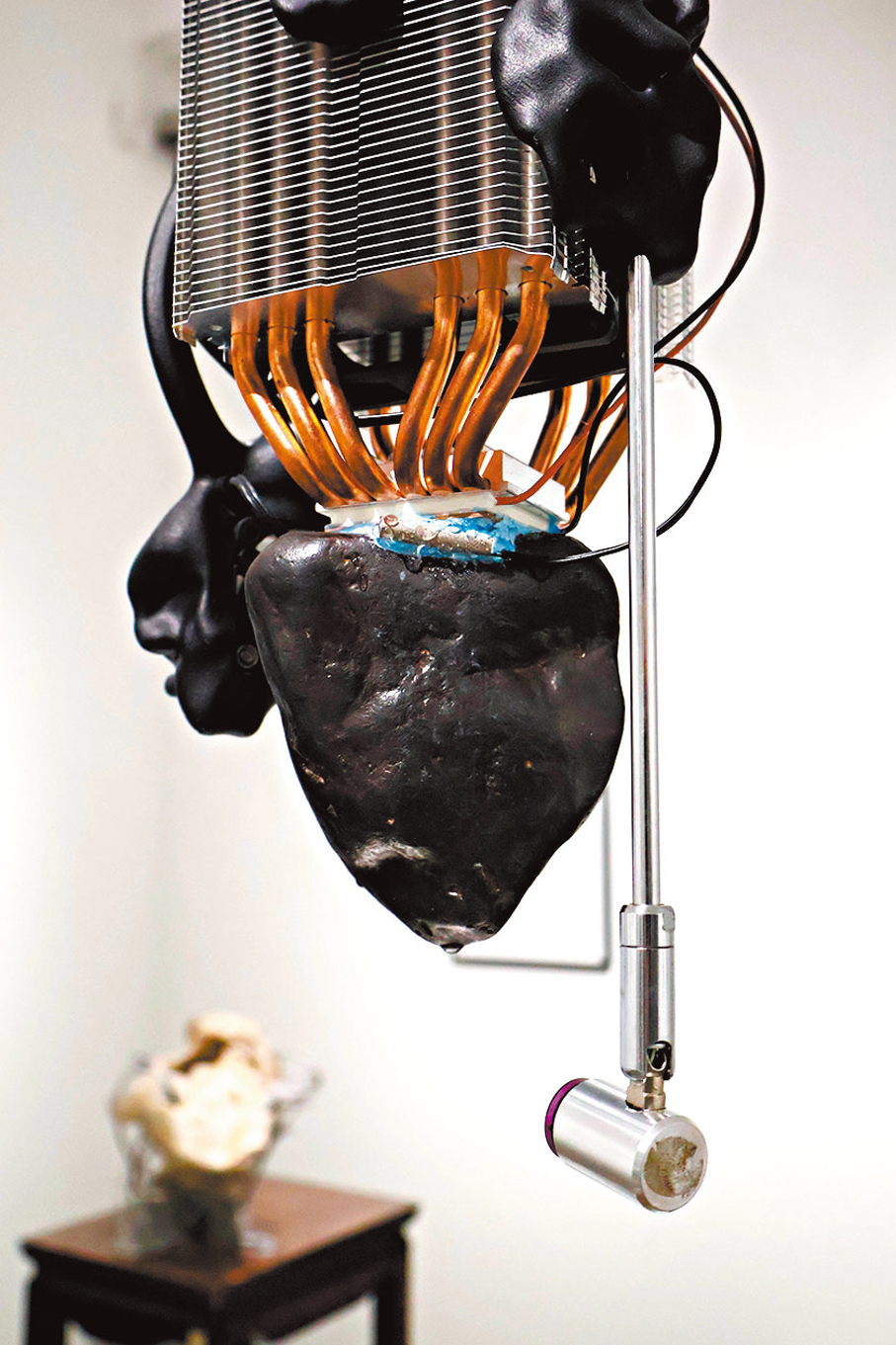 ●《Sternwerk》包含一塊心臟狀鐵隕石。