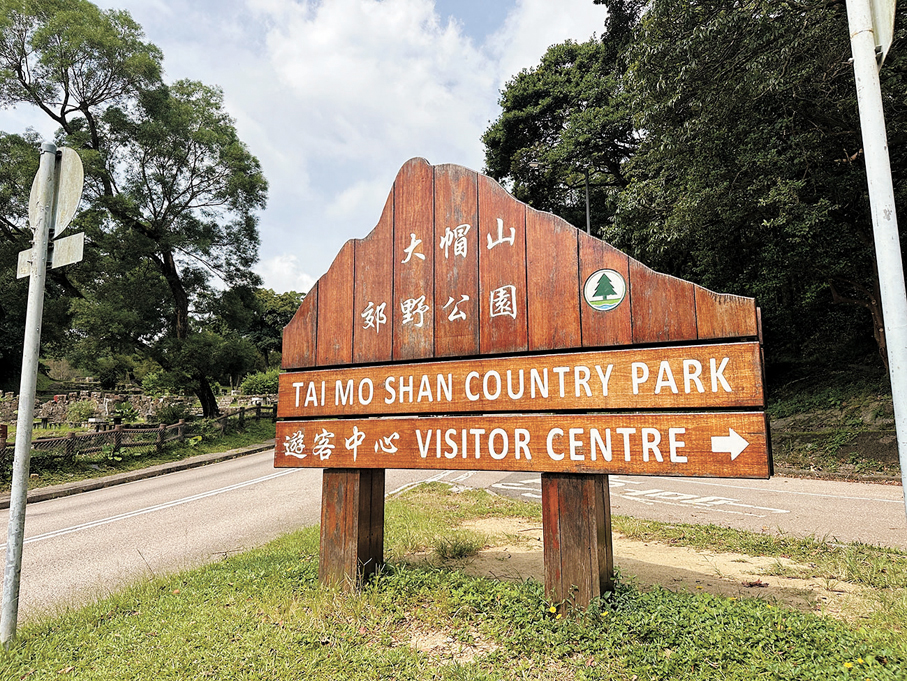 ●荃灣區區議員認為區內應先完善公交線路，並就大帽山山徑人車共用道路提出解決方案。