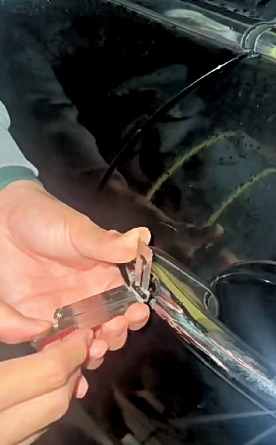 汽車開鎖是其中一個開鎖匠的新增機遇。 受訪者供圖