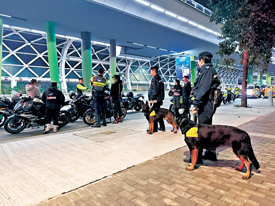 ●警方出動警犬協助執法，打擊非法改裝車輛及非法賽車活動。 警方圖片