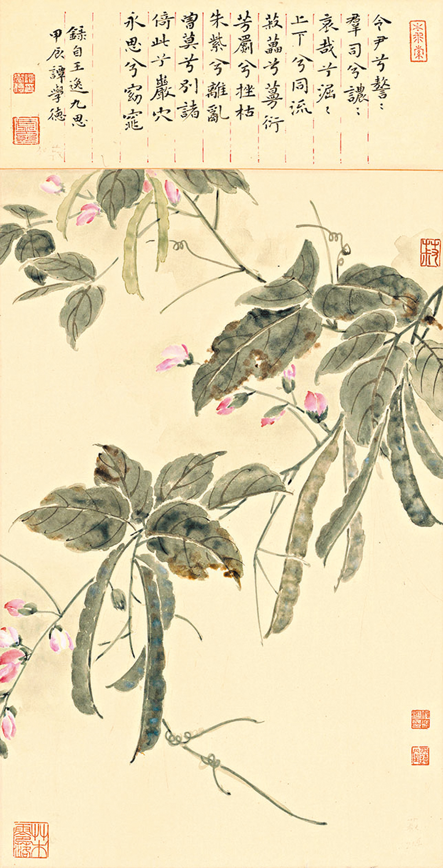 ●《楚辭草木畫譜》作品—菽