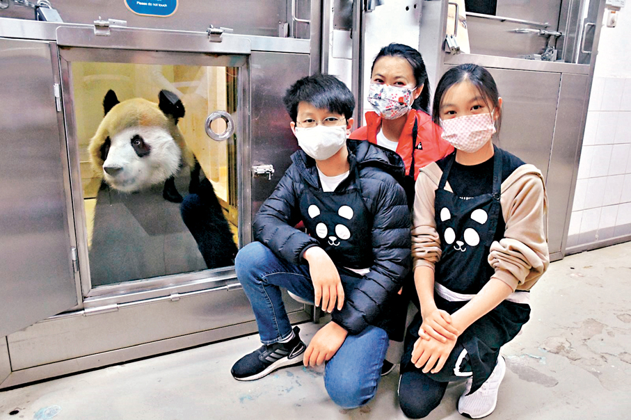 ●熱愛熊貓的鄧銘心，早前帶同一對子女到海洋公園學做熊貓飼養員。 受訪者供圖