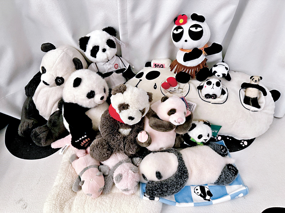 ●見到可愛的熊貓公仔，鄧銘心又忍不住買下來，家裏已有數十隻公仔。 受訪者供圖