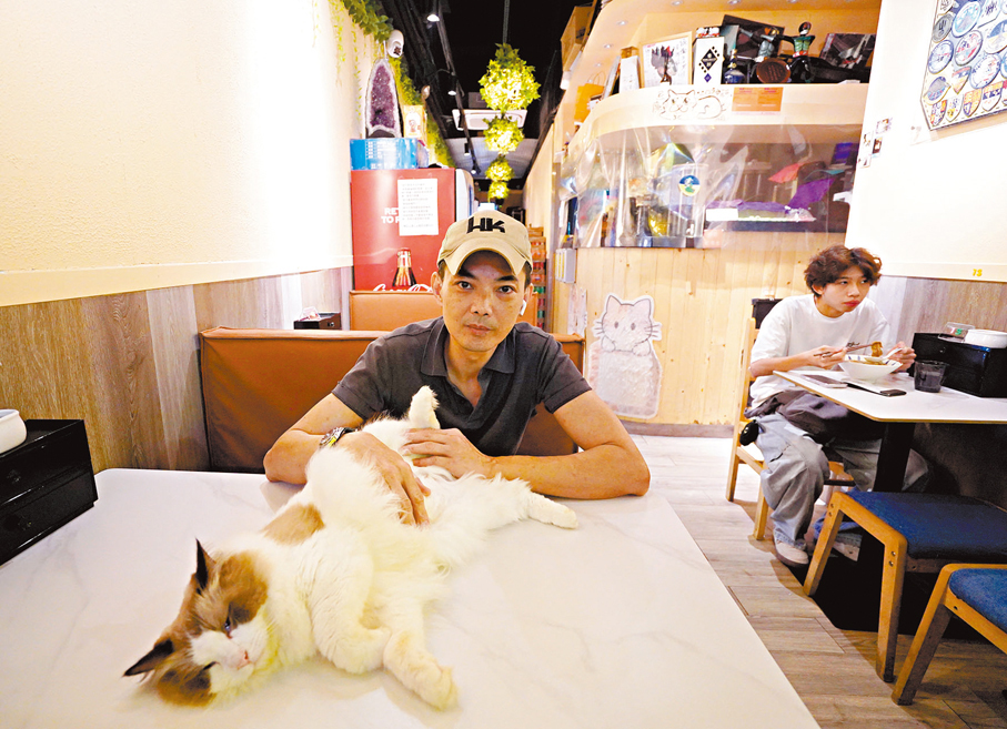 ●「火之神」負責人陳先生表示，現時店內常駐13隻貓兒。 香港文匯報記者曾興偉 攝