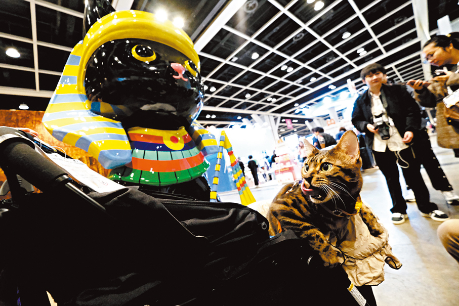 ●貓兒坐在寵物車好奇張望。 香港文匯報記者涂穴 攝