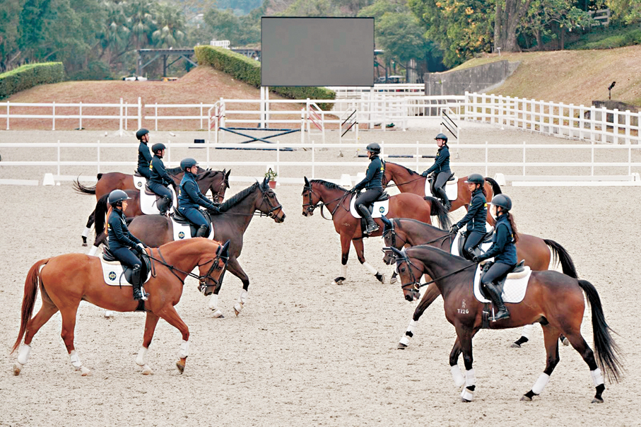 ●八匹參加「馬會退役賽駒駿展新生計劃」的馬匹，將於浪琴香港國際馬術盛典進行音樂騎術表演。 公關圖片