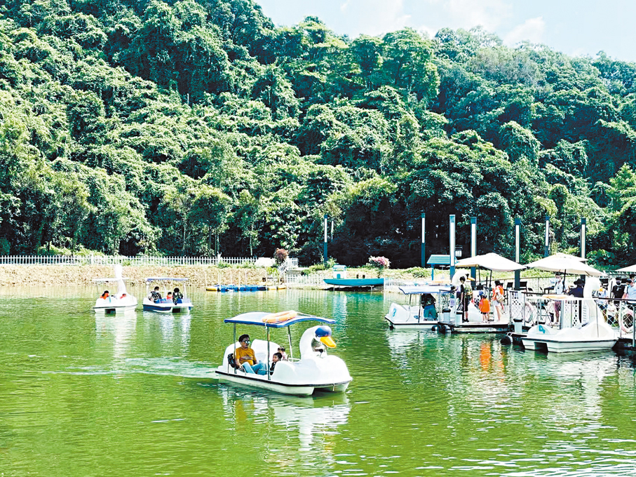 天鵝湖觀光船吸引眾多市民體驗。