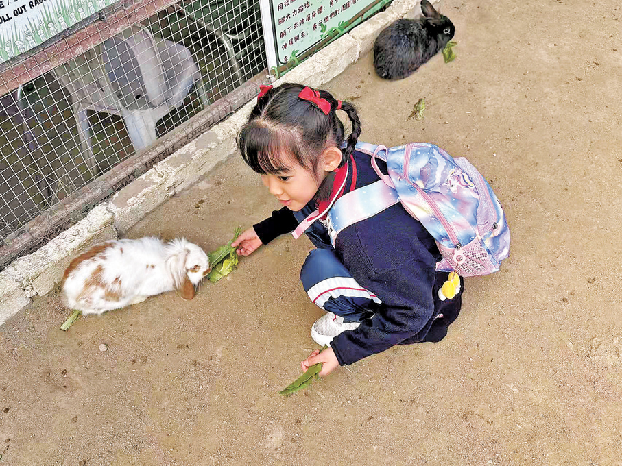 小朋友可親身體驗餵兔仔。