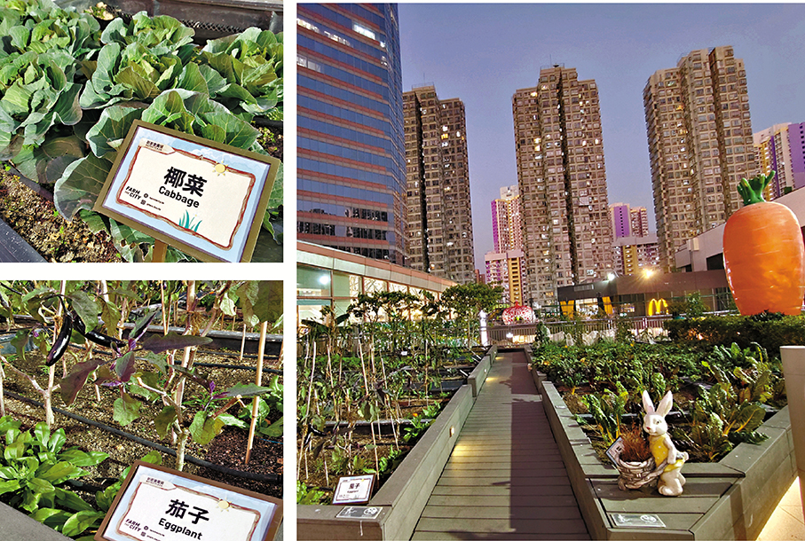 位於新都會廣場L5的都市農莊