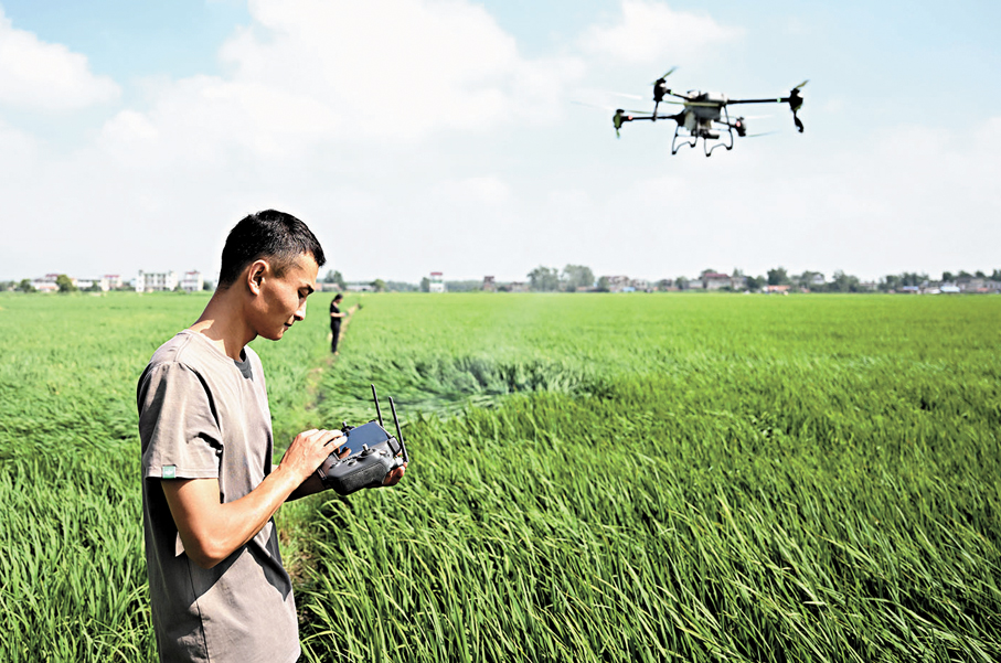 ●無人機和機器人首次寫入中央一號文件。圖為較早前在安徽省蚌埠市五河縣澮南鎮楊集村，「95後」小夥使用無人機為水稻噴灑農藥。 資料圖片